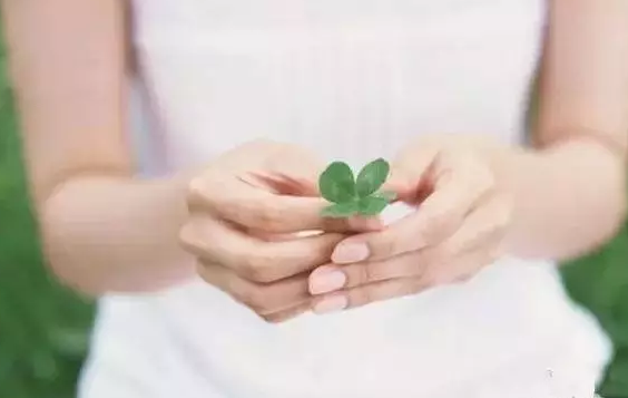 夫妻在生育前做好體檢排查疾病幹擾