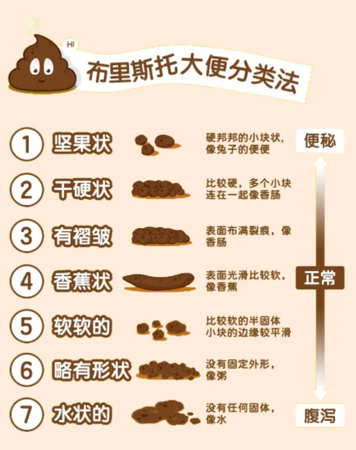 關(guān)於便秘，你了解多少？